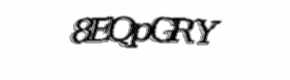 Security check image, please type the characters shown